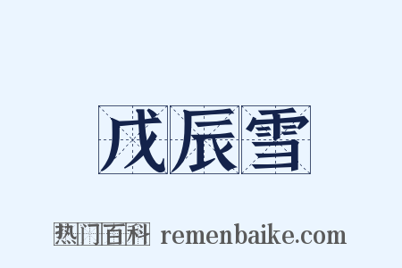 戊辰雪是什么意思的图片